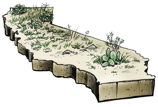 Illustrated map of a green and lush California